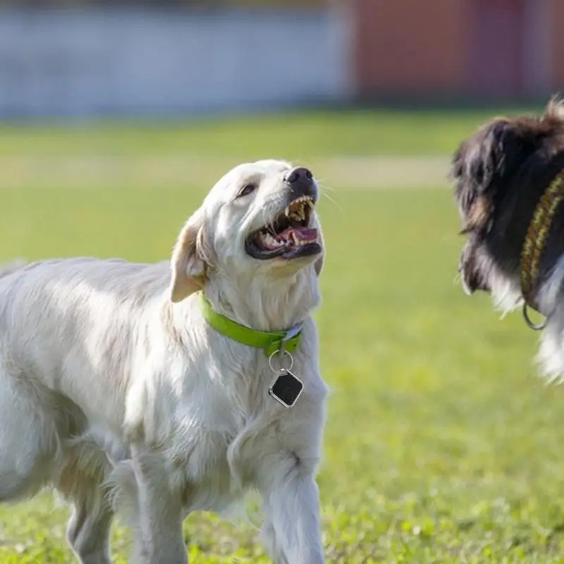 Dispositivo di localizzazione del cane GPS IPX65 impermeabile Anti-smarrimento 60db Tag di tracciamento dell'allarme alimentato a batteria a prova di polvere localizzatore di gatti chiave sigillata