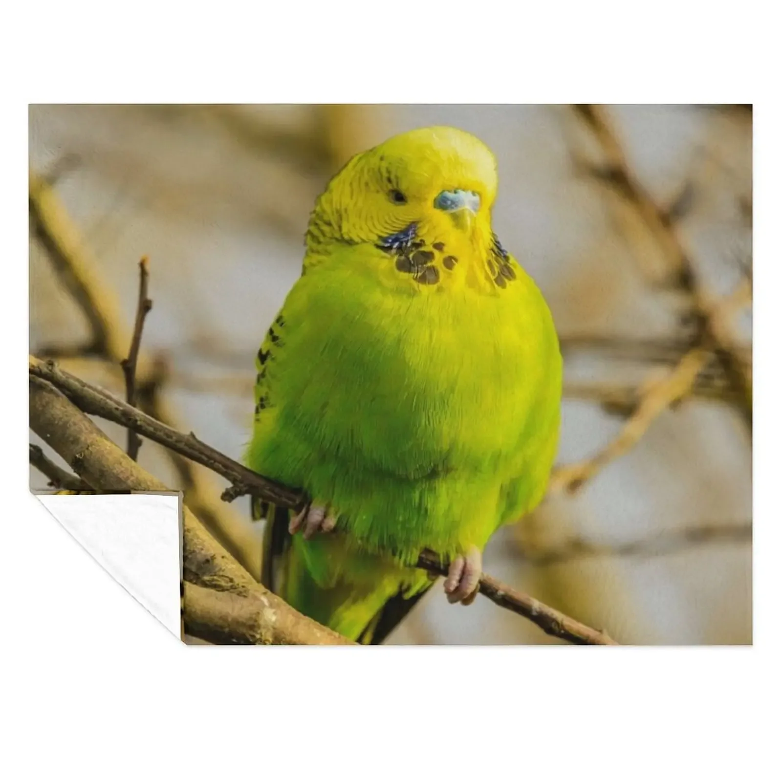 

Green Budgie Parakeet Throw Blanket Thin Warm valentine gift ideas Sofa Throw Blankets