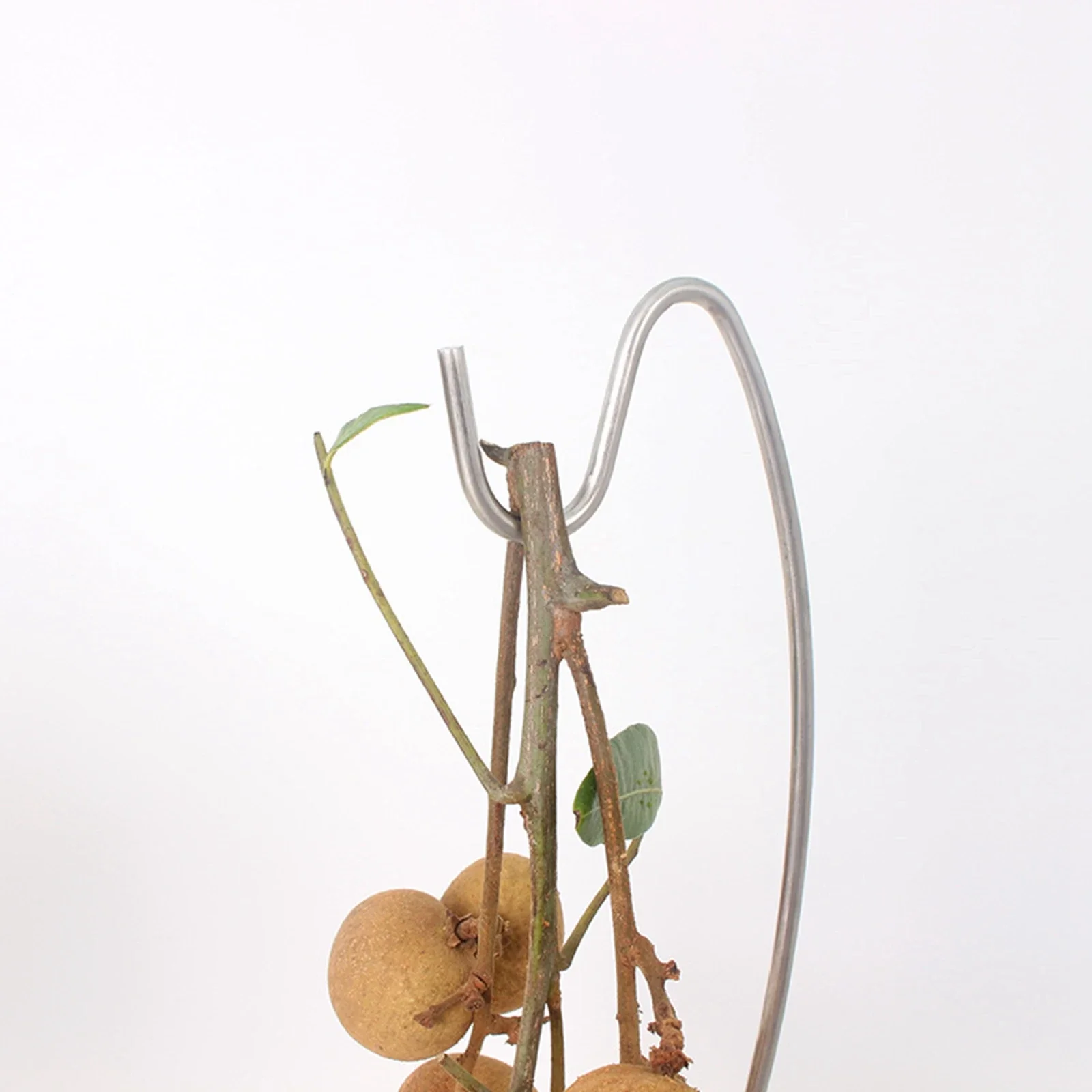 Stainless Steel Banana Tree Stand Hook Creative Draining Accessories Holder Fruit  for MultiuseKitchen  Countertop Drain stopper