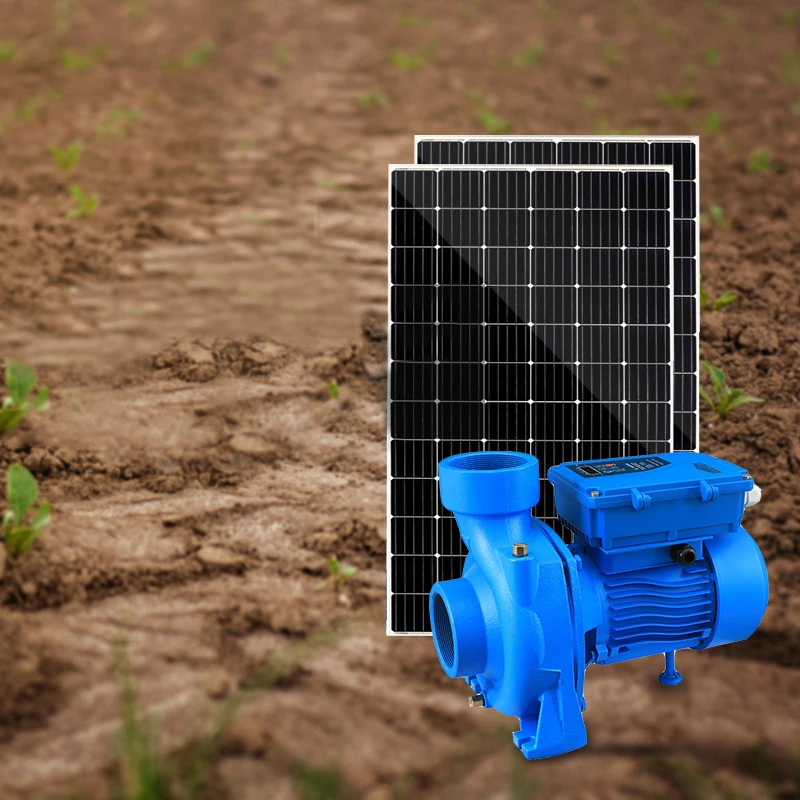 Comprador Agricultura Bomba de agua con energía solar de 750 vatios 1H Bombas de agua de superficie solar de 2 pulgadas Precio para irrigación