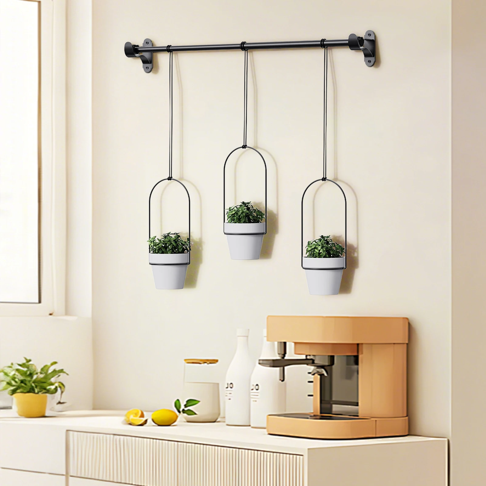 

Home Hanging Baskets for Plants Weather Resistant and Succulent Plant Pots Gift for Birthday and Festivals