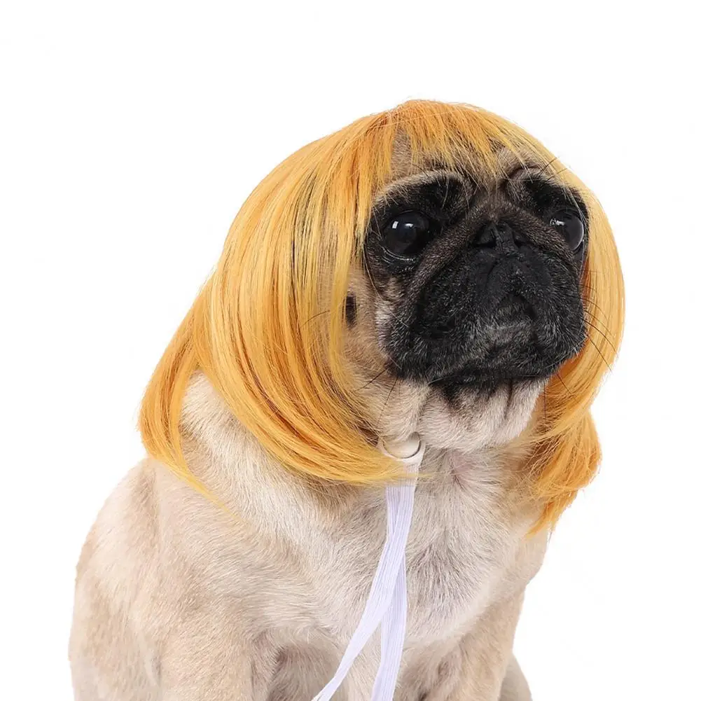 Cat Wig Dog Wig Pet Wig with Elastic Band for Cat Dog Cosplay Halloween Christmas Party Photo Prop Glossy Anti-slip Straight