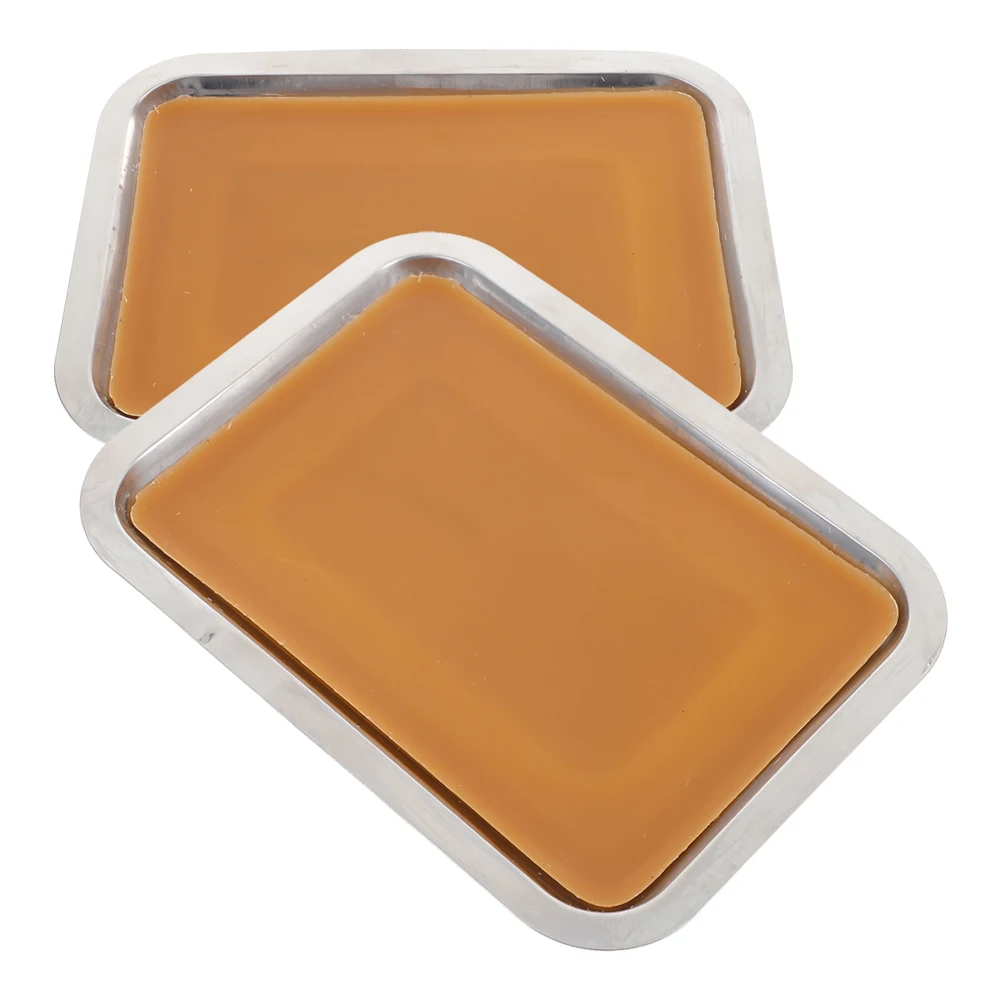 

2Pcs Sturdy Metal Dissecting Pans Wax Lined Trays for Accurate Lab Experiments Laboratory Trays Metal Tray Laboratory Tray