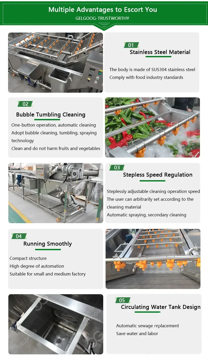 Commercial Bubble Parsley Vegetable Cleaning Equipment Celantro Lettuce Leek Celery Washing