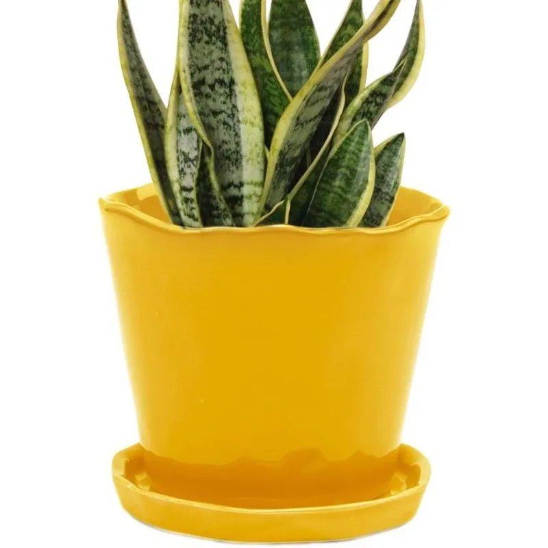 

Ceramic Planter Pot — Large 8" Succulent Pots for Indoor & Outdoor House Plants — Cute, Beautiful Modern Farmhouse Kitchen