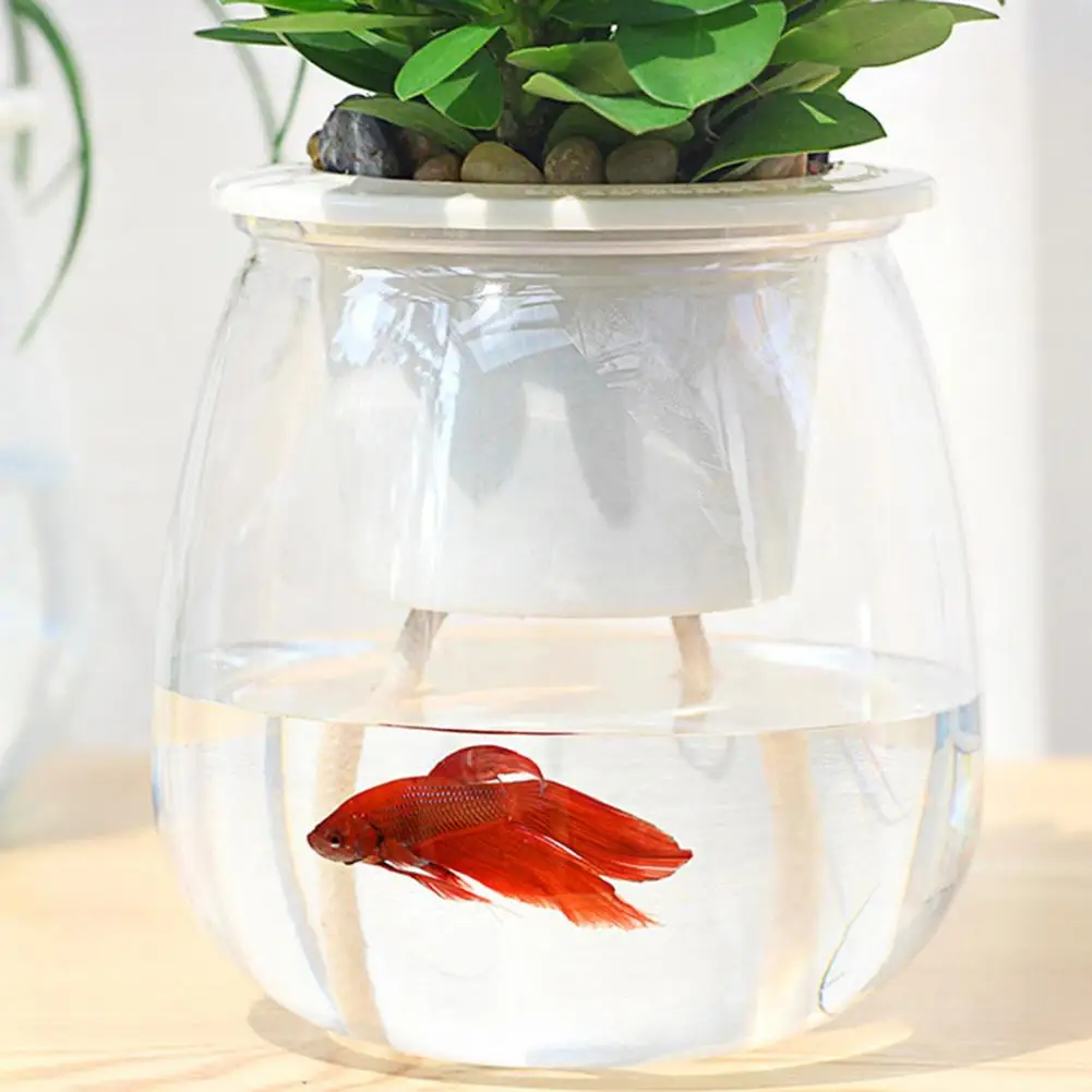 Planter with Water Wicking System Flower Pot with Reservoir Self Watering Plant Pot with Transparent Reservoir Self for Indoor
