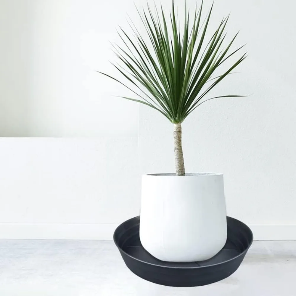 Pires grandes para plantas de 25 polegadas, bandeja preta profunda para vasos de flores, coletor de drenagem resistente sem furos