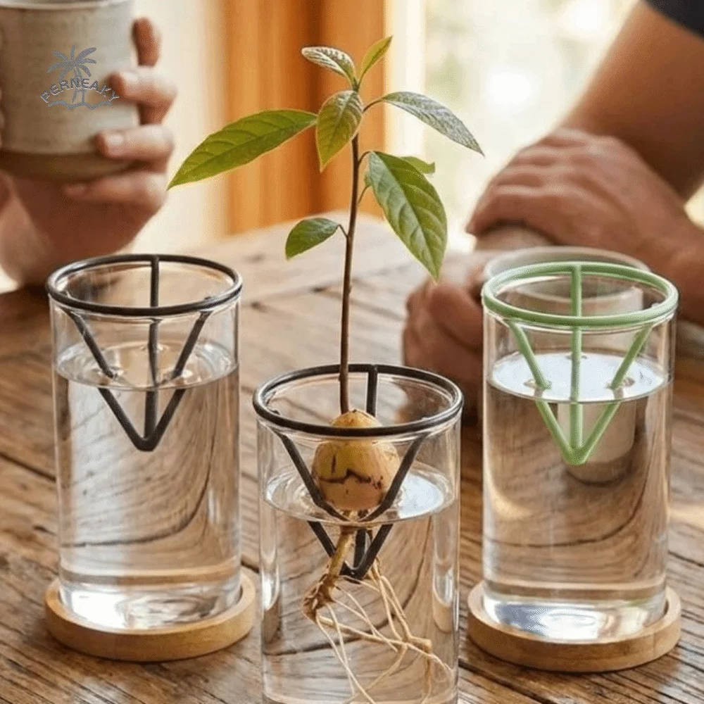 3Pcs Cone-shaped Avocado Growing Triangular Holder Stable Plastic Avocado Germination Stand Soil-less Floating Hydroponic Rack