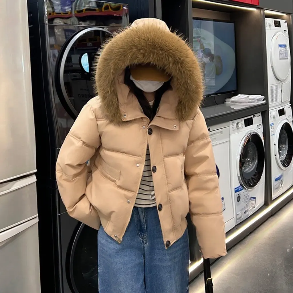 Jaket Wanita Korea Berbahan Katun Tebal dengan Kerah Wol Besar Desain Pendek Model Baru untuk Pelajar