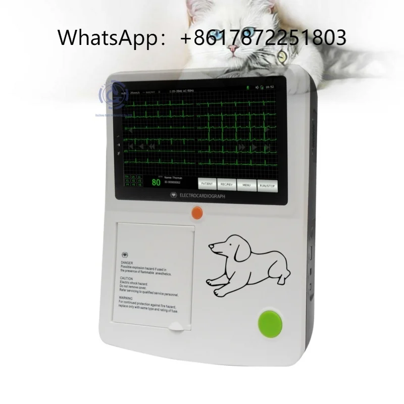 

Portable Medical Electrocardiogram Digital for Veterinary 3 Channel Ecg Ekg Patient