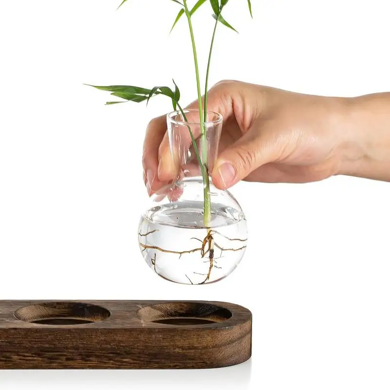 Plants Terrarium For Hydroponics Plants Office Plant Propagation Station With Retro Wooden Stand Home Desktop Glass Planter