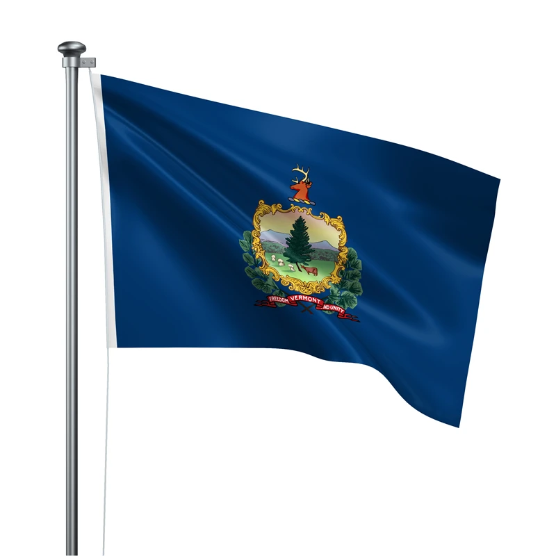 Gaslight Gatekeep Girlboss 5' x 3' Vermont State Flag Banner Polyester with Brass Grommets 150cm x 90cm