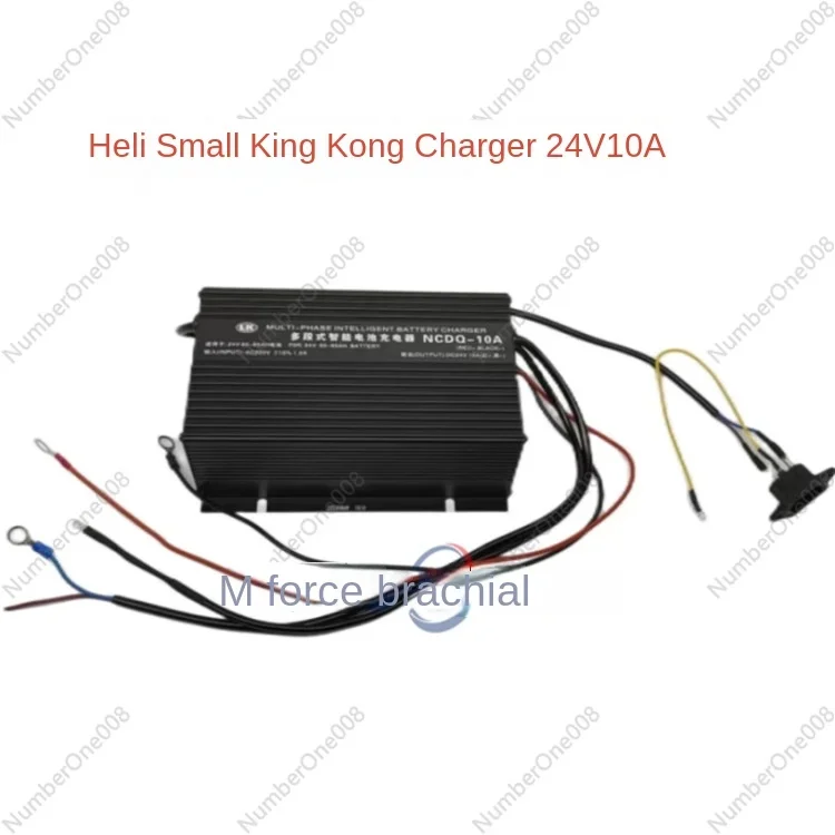 Electric Forklift Charger 24v48v4a Zhongli Heli Nuoli Hang Fork Small Diamond Tray Forklift Charger #4
