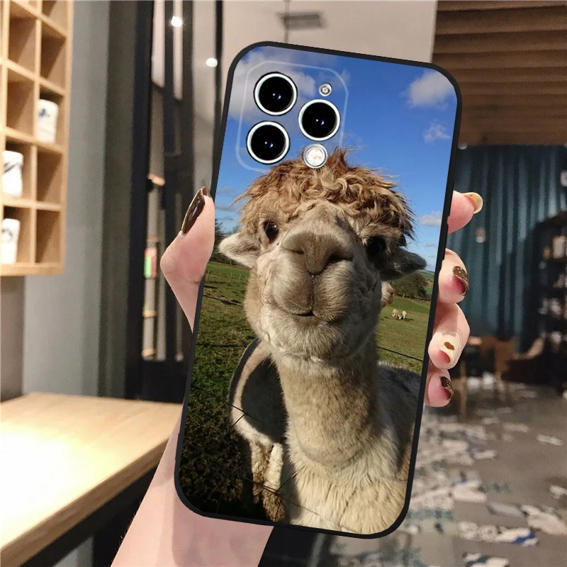 Alpaca Llamas Phone Case For iphone 16 15 14 Pro Max 16 15 14 13 12 Pro 15Plus iphone 11