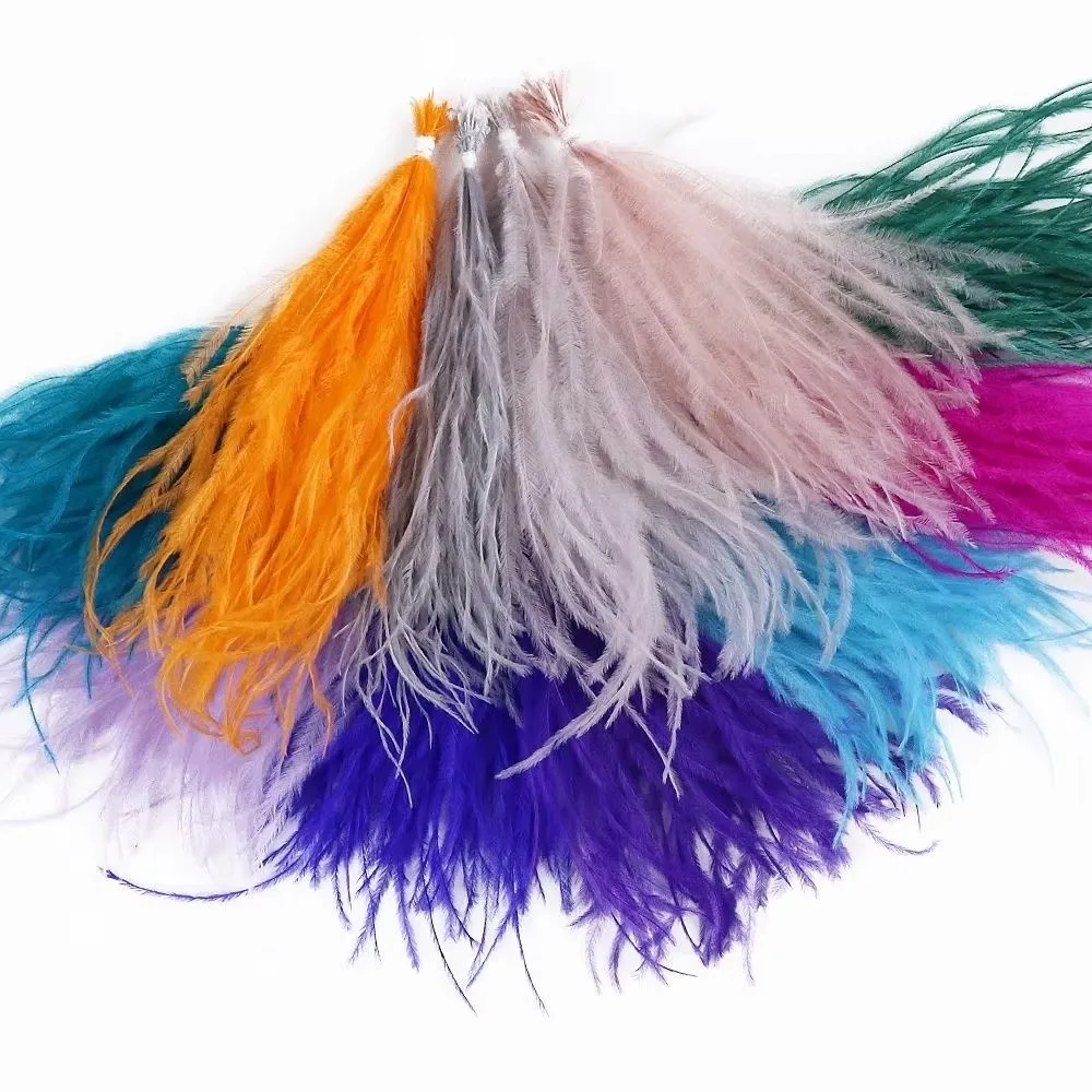 100Pcs Ribbon Tassel Ostrich Feathers DIY Sewing Costuming Natural Ostrich Feather 10-15cm Multicolor Feathers Trim