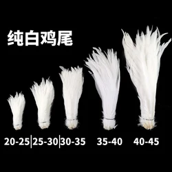 Pure White Feather Wholesale Rooster Tail Feathers  20-45cm 8-18inch Natural Plumes White DIY Cock Clothing Jewelry Accessories