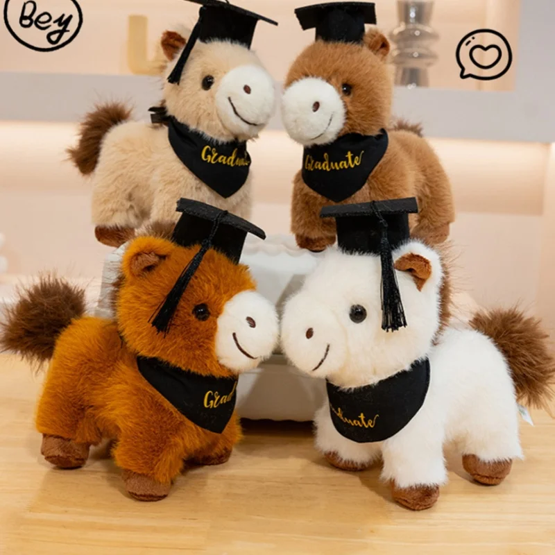 28Cm Happy Graduati…