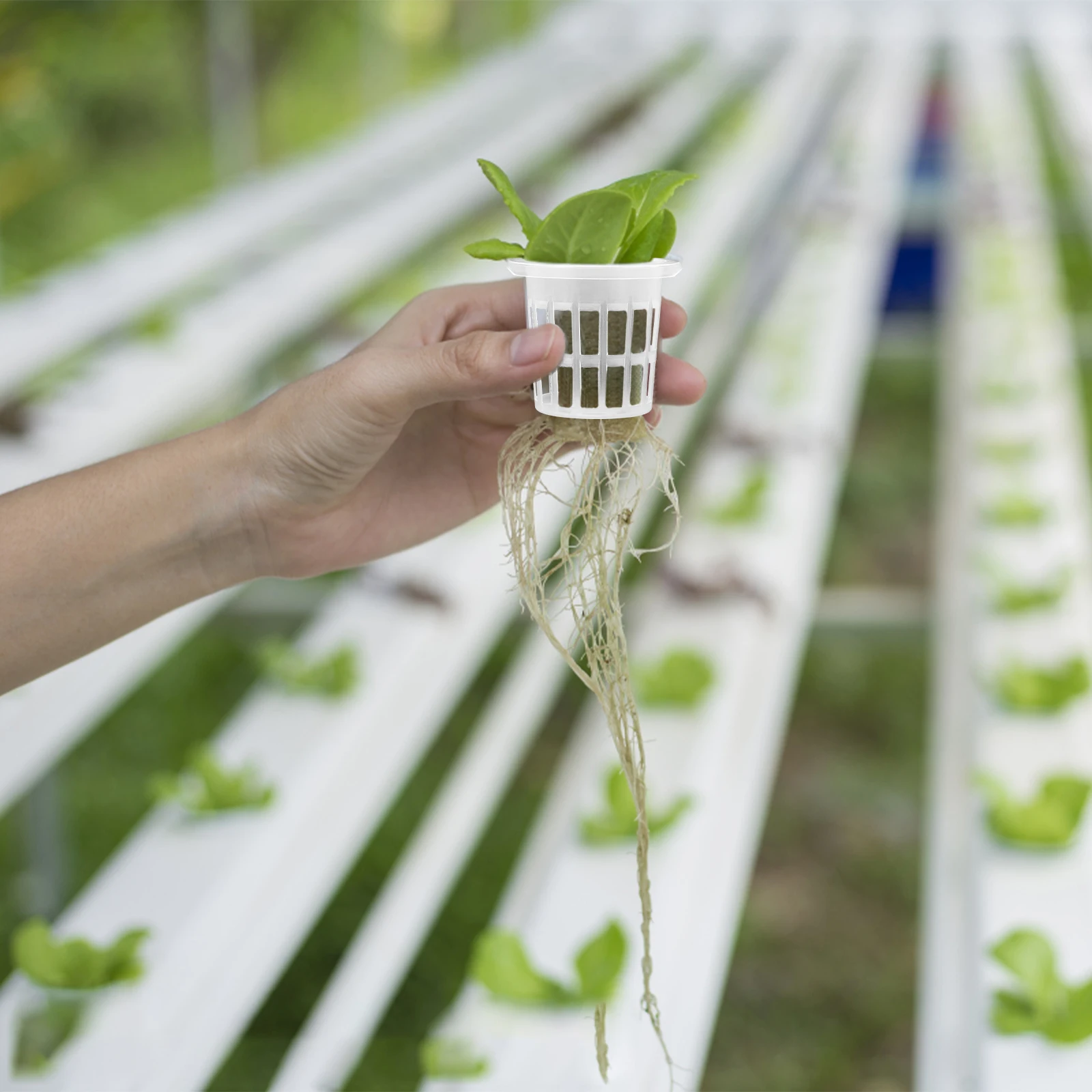 

50 pcs Planting Baskets Hydroponic Nursery Soilless Cultivation Grow Cups Plastic Root Pots Starter Containers