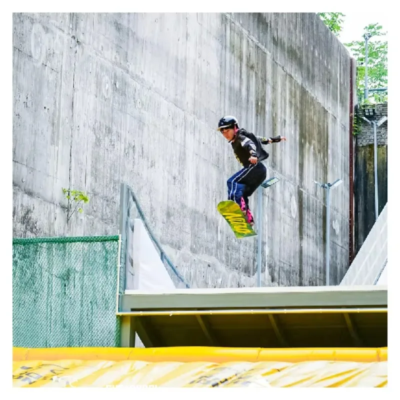 Рисунок 2 - Внутренняя поверхность для искусственных