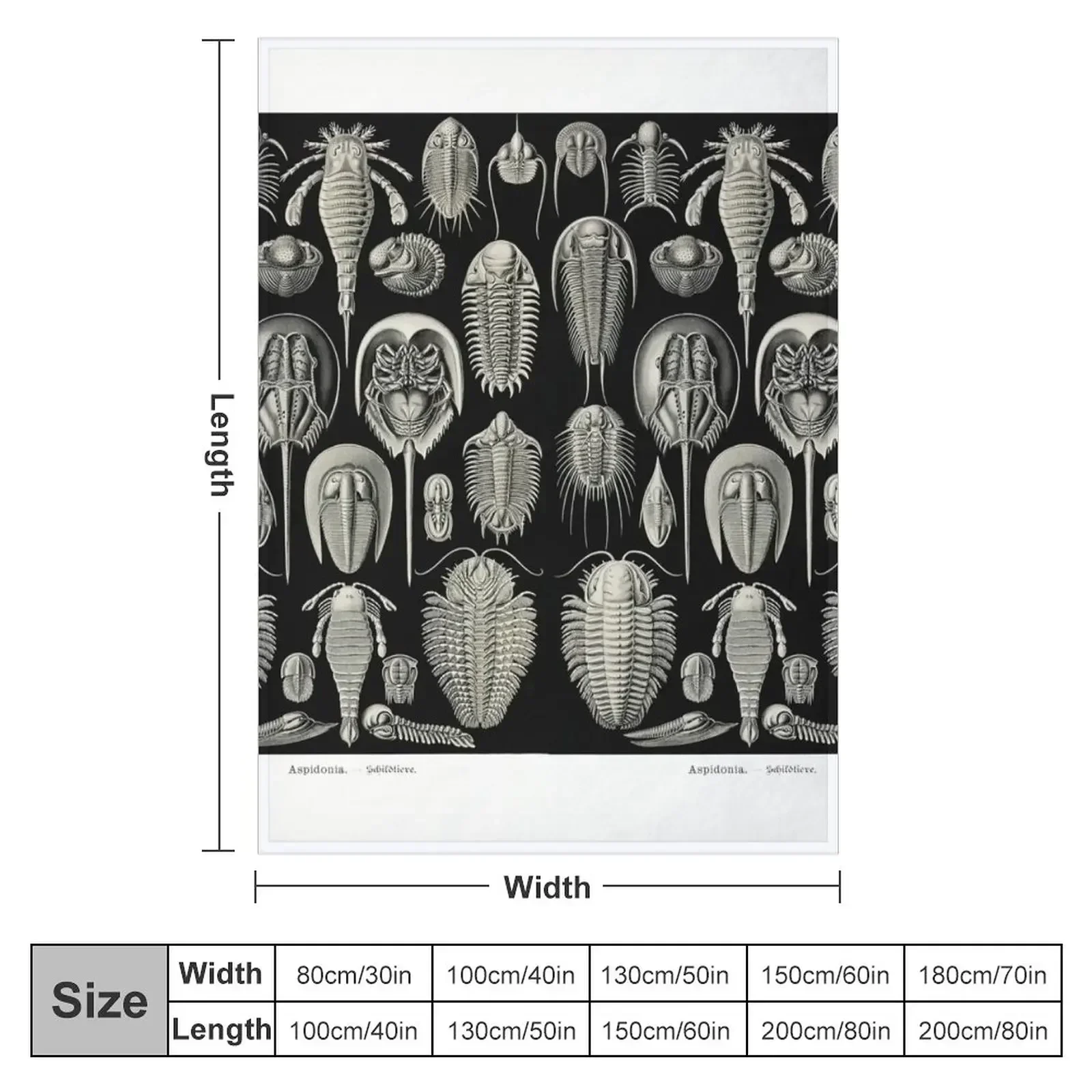 Plate 47. Trilobites and Sea Scorpions Throw Blanket Sofas Decoratives Flannel Fabric Blankets