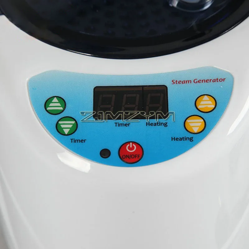 1000W Stainless Steel Sauna Steamer Pot Machine 2L Portable Sauna Steam Generator Fumigation Machine for Spa Steam Generator