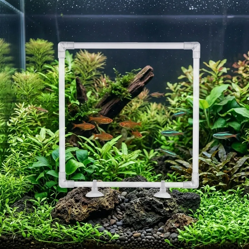 Aquarium Floating Plant Corral for Acrylic Fish Tanks and Outdoor Ponds to Contain Live Floating Plants and Create Feeding Zones