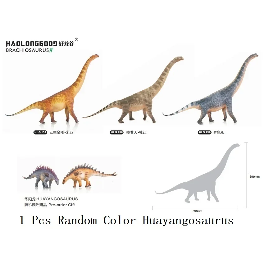 Pre-order 1:35 HAOLONGGOOD Brachiosaurus + 1pcs Random Huayangosaurus Dinosaur Toy Ancient Prehistroy Animal Model with Box