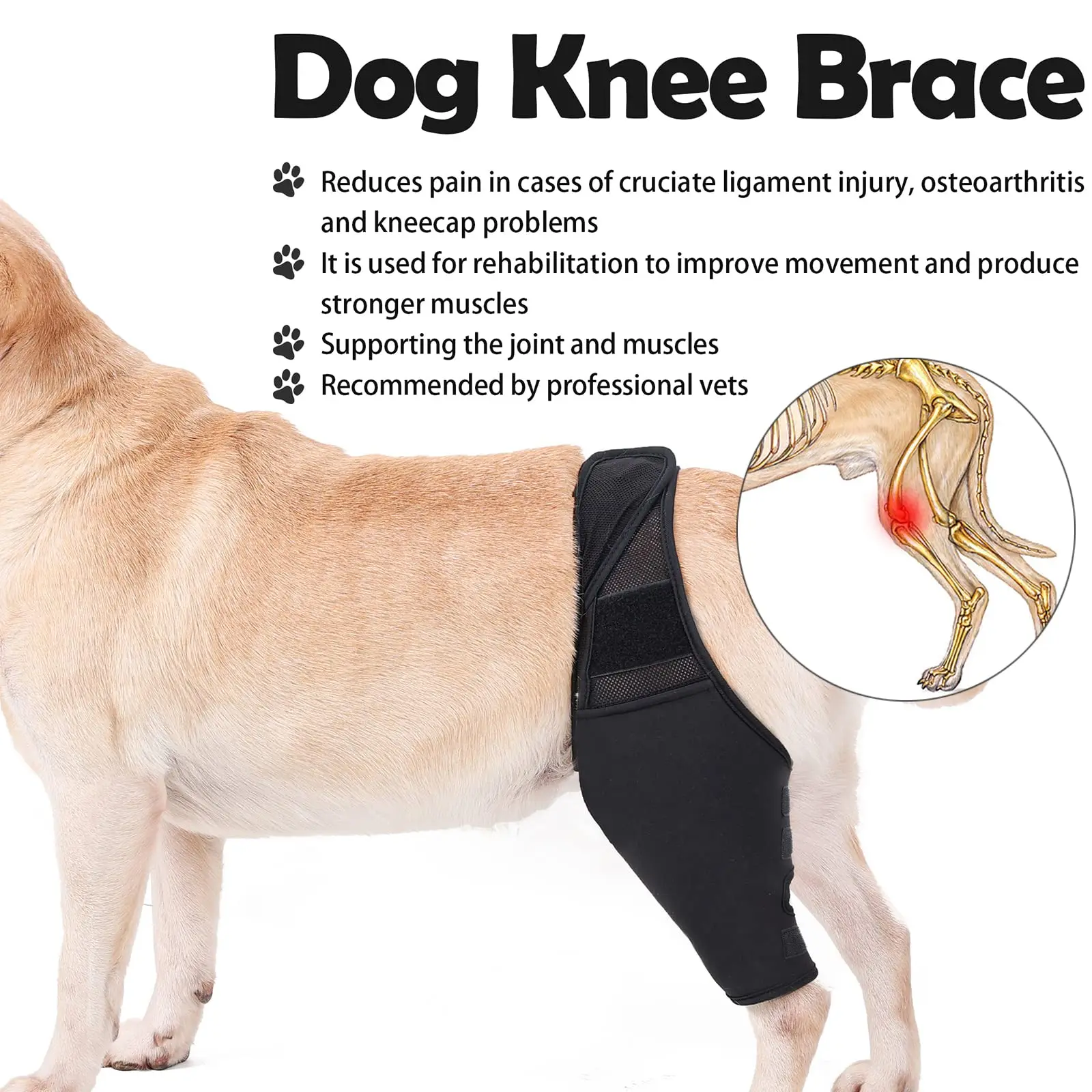 Dog Knee Brace Hind Leg ACL Support Adjustable Joint Wrap for Dogs