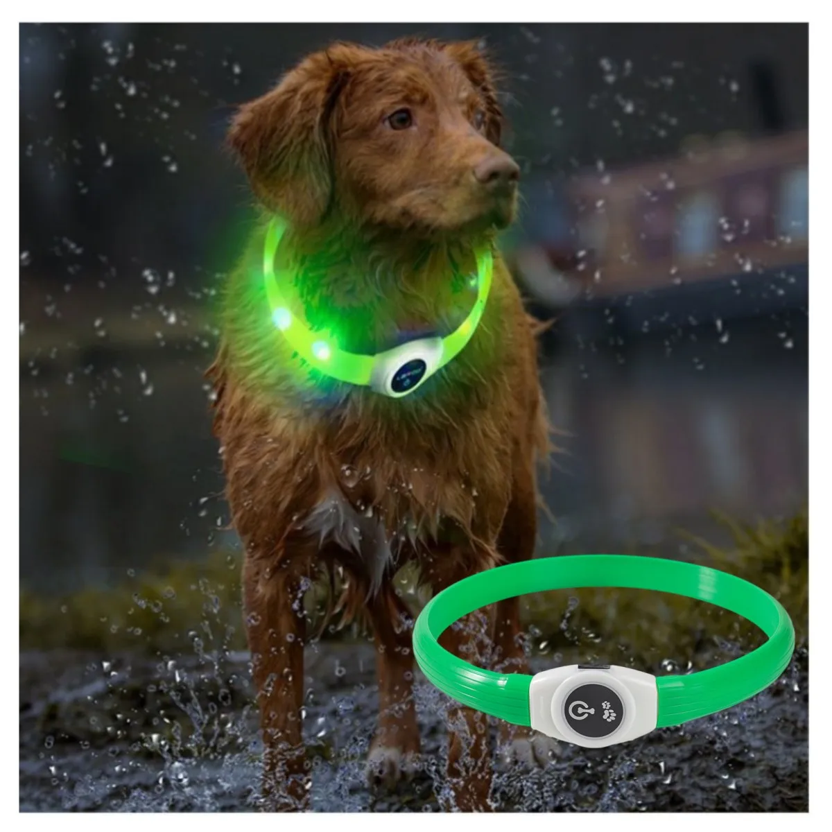 New Led Luminous Dog Collar PVC Waterproof , For Large Medium Small Dogs Collar Usb Light Night Safety Pet Glowing Accessories 1