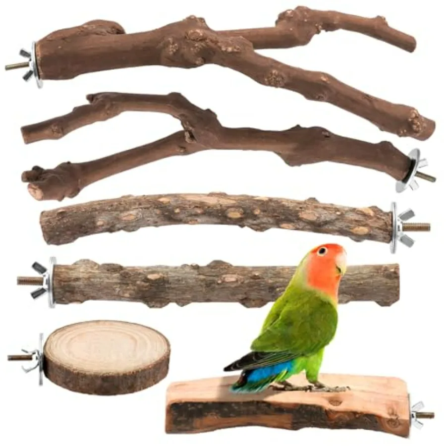 

6-Piece Natural Wood Bird Perch Set - Forked Grapevine Branches, Prickly Ash Sticks and Apple Wood Platforms - Habitat Standing