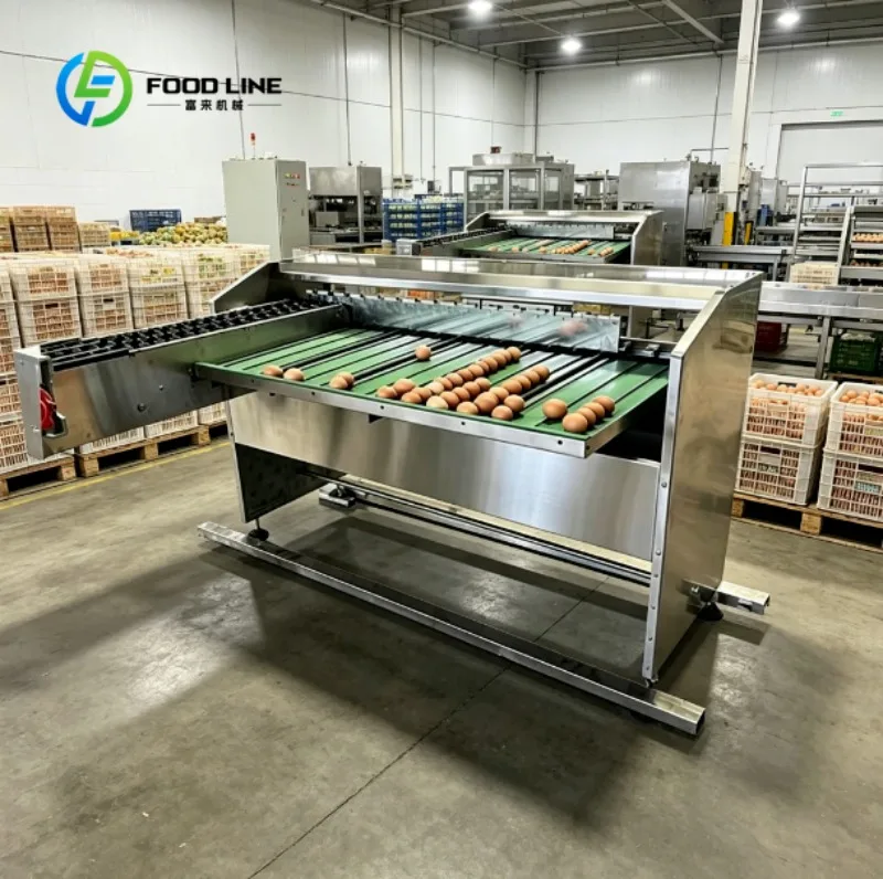 Industrial Egg Grader Machine High Precision Egg Sorting Equipment for Commercial Poultry Farms