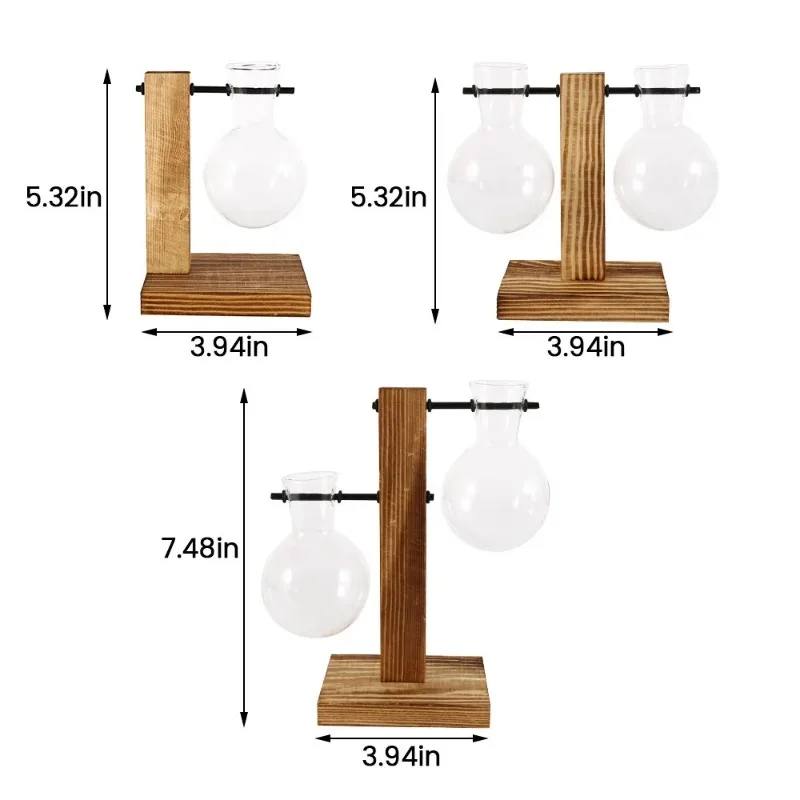 Glass Hydroponic Plant Vase 6