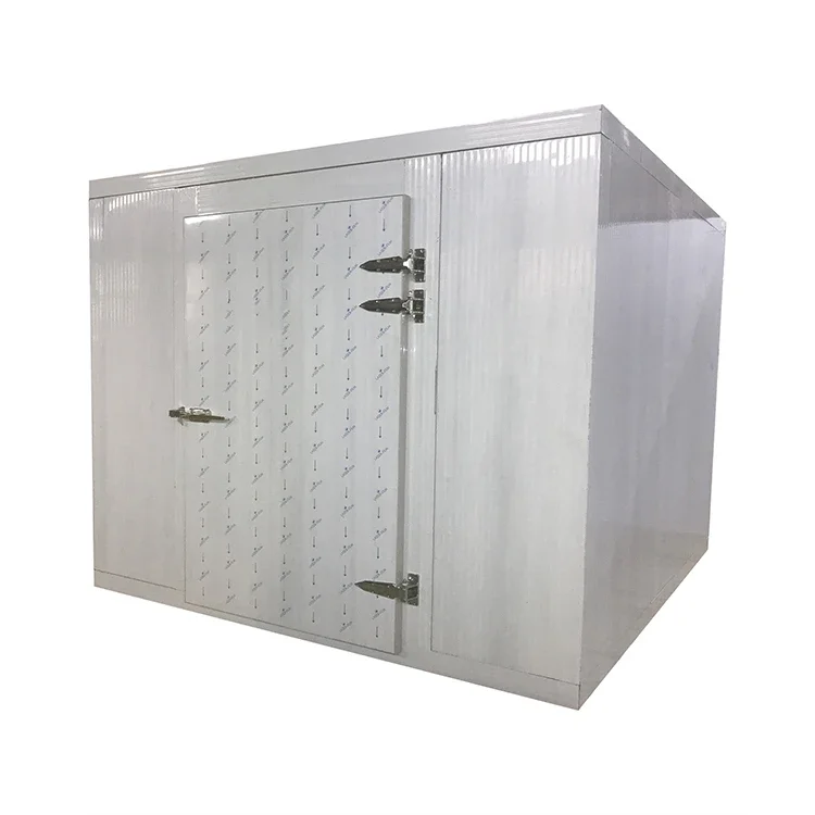 EMTH Walk In Cooler Small Size Cold Storage For Meat Frozen