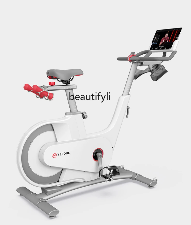 Gym Home Smart Spinning Bike Silent Magnetic Control Sports Fitness Bike