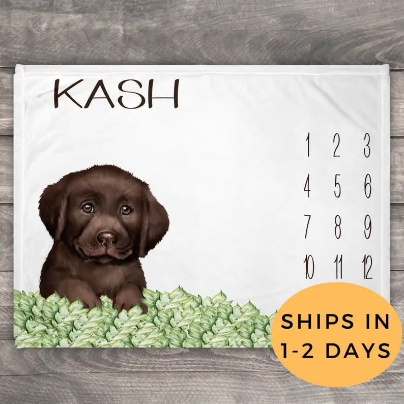 Chocolate Labrador, Milestone Blanket Baby Boy, Chocolate Labrador Retriever Throw, Custom Dog Blanket, Dog Lover Gift, Personal