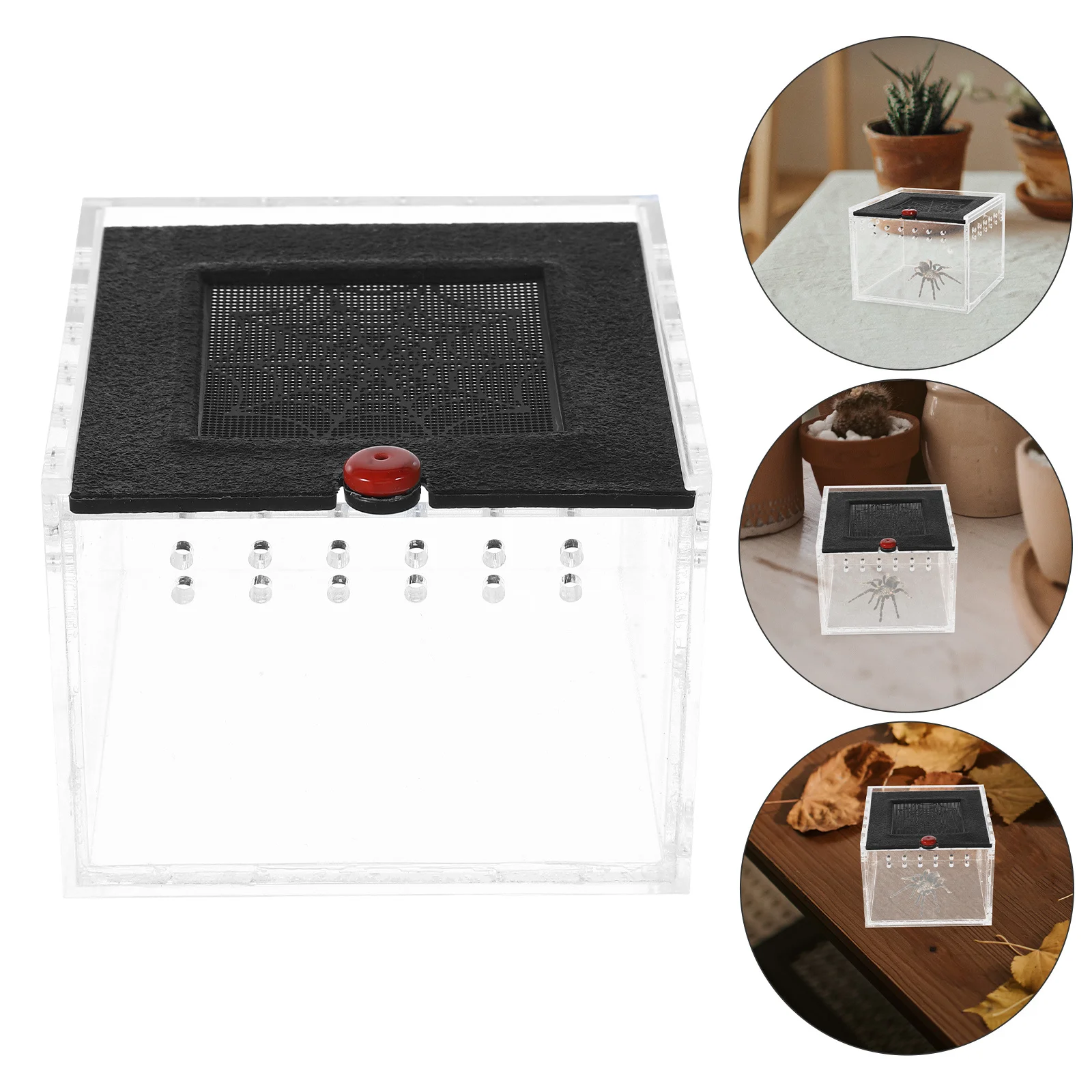 

Reptile Feeding Box Acrylic Breeding Tank For Spider Scorpion Lizard Pet Case Ventilation Holes Lightweight Durable Transparent