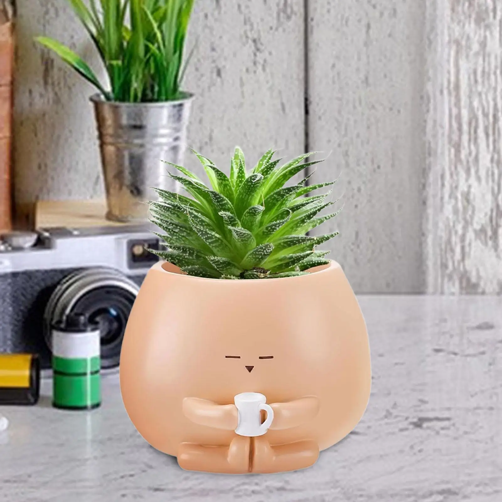 

Cute Plant Pot Ornament Head Planter Resin Planter for Outdoor Plants Office