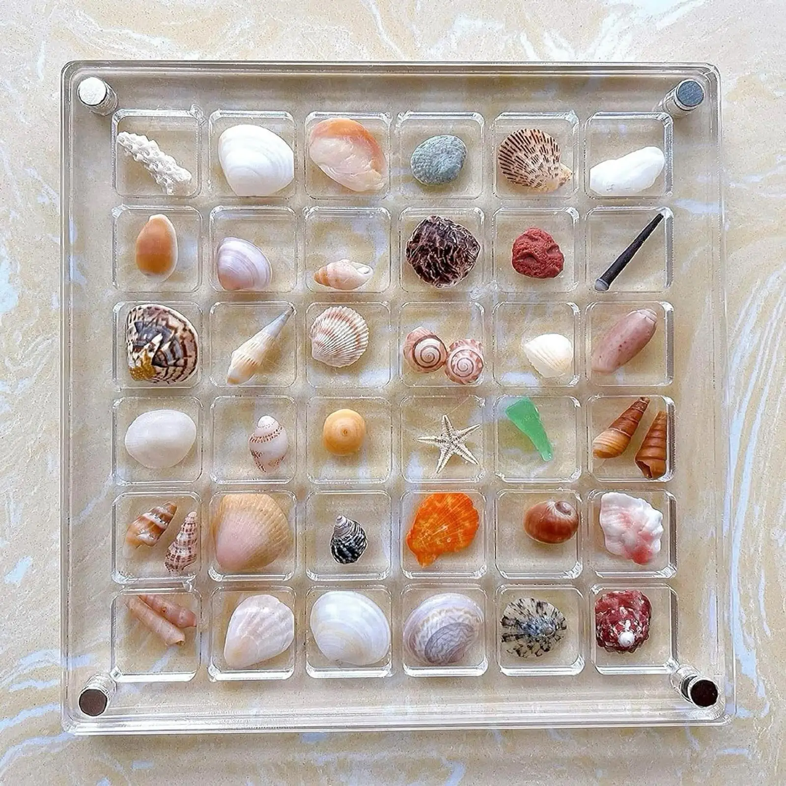 

Acrylic Shell Display Box Decorative 36 Grids for Trinket Jewelry Nail