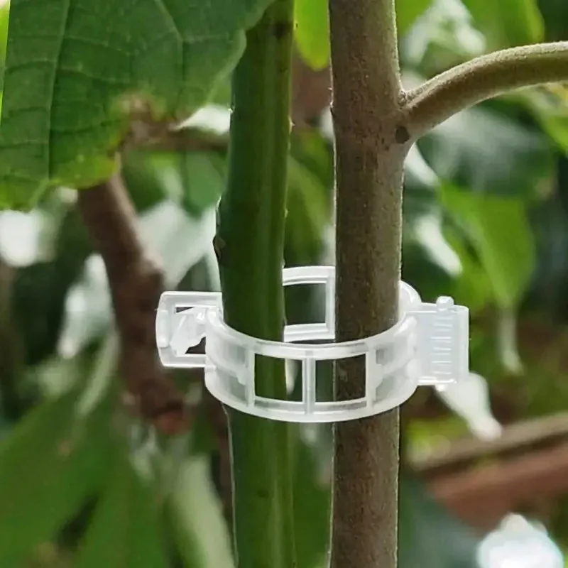 50/100/200/300pc Plant Support Clips for Wholesale - Reusable Plastic Plant Vine Protection and Grafting Fixing Tools