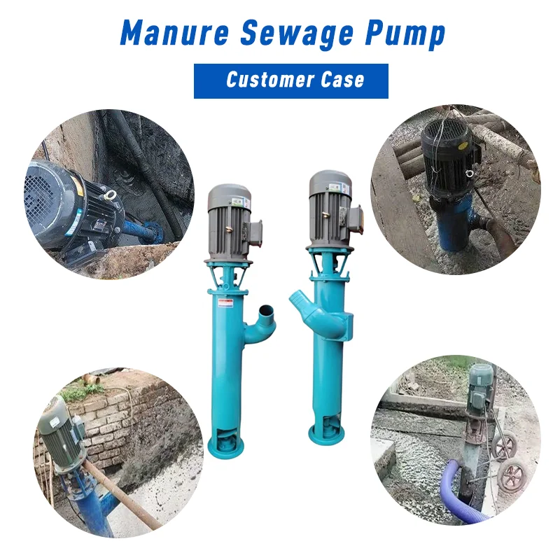 NPL Cutting and Strangling Dragon Pumping Manure Pump Farm Septic tank Dragon Non-clogging Vertical Sewage Slurry Pump