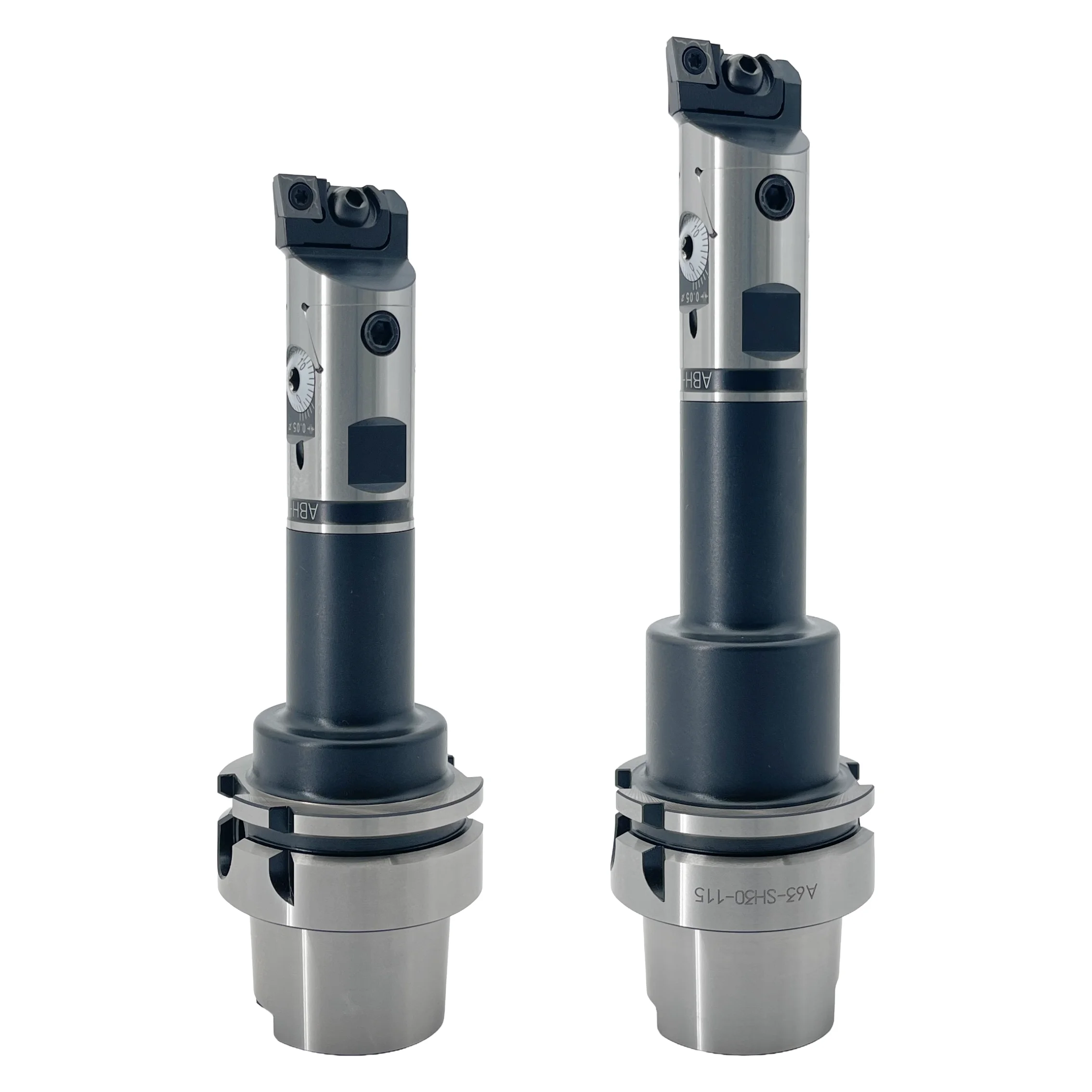 Japanese Fine-Tunin…