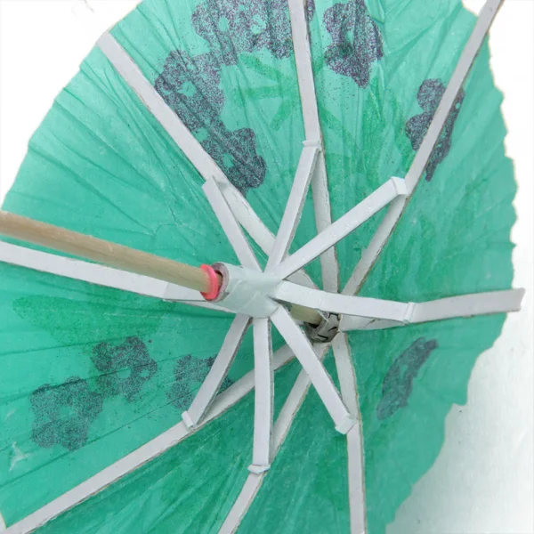 Decorative Party Paper Umbrella Cocktail Drink Stick Assorted Flower Print for Celebration and Event Decoration