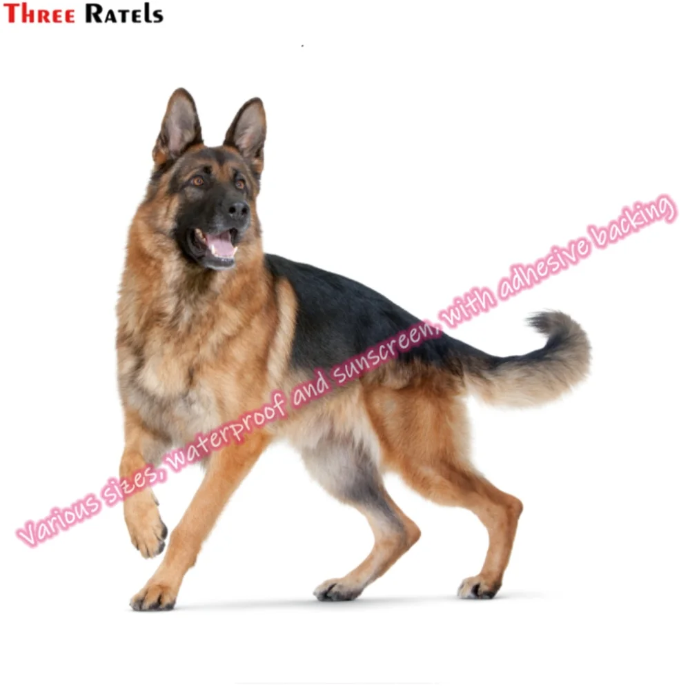 Three Ratels M223 Custom Stickers For Novelty Auto Supplies Useful Things for Cars Accessories for Mercedes W204 Laptop Decal