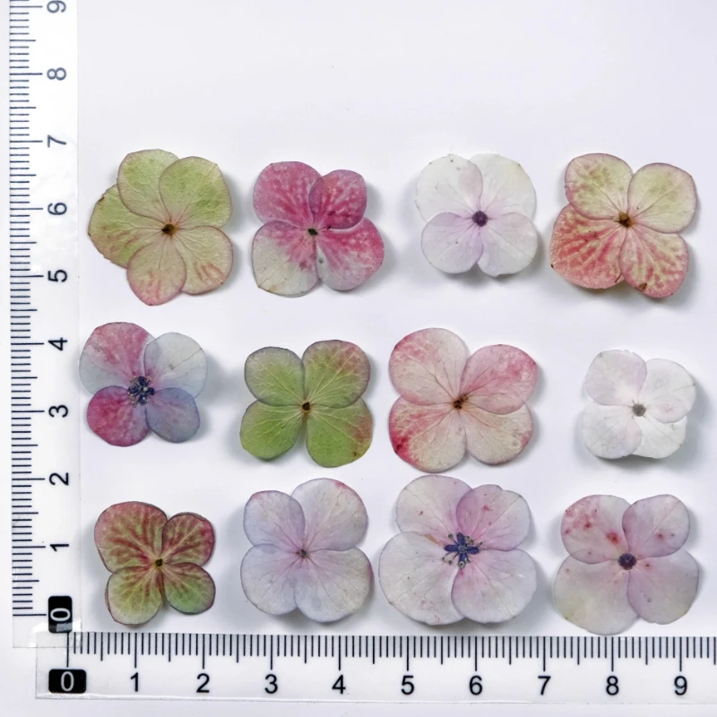 24 Stück, gepresste Hortensien im Monet-Stil – DIY-Schmuckzubehör aus getrocknetem Blumenharz, Blütenblatt-Fotorahmen und Handyhüllen-Bastelset – Detail 6