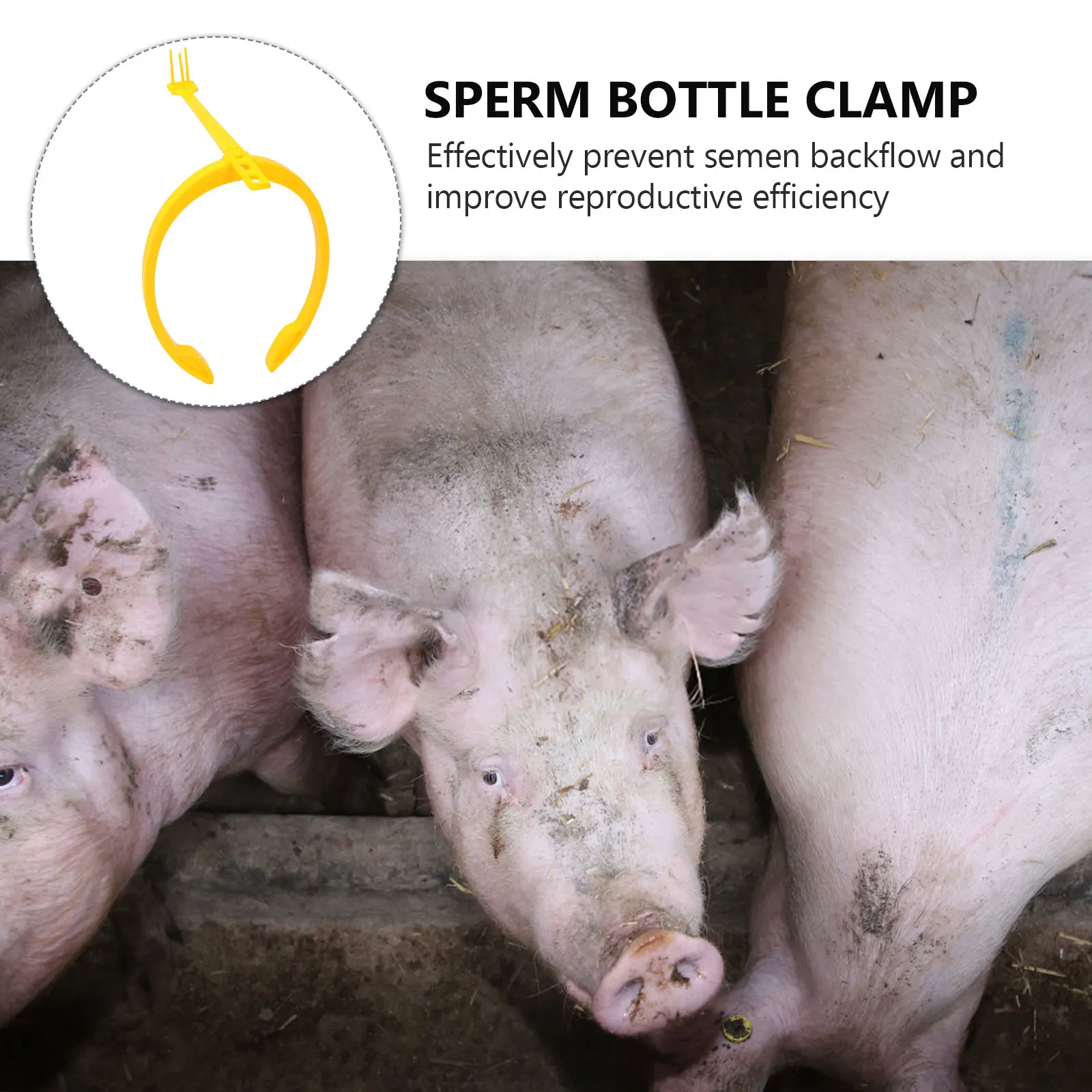 

Reliable Sperm Feeding Bracket Durable Plastic Sow Fertilizing Bottle Holder Artificial Insemination Supply Pig Breeding Product