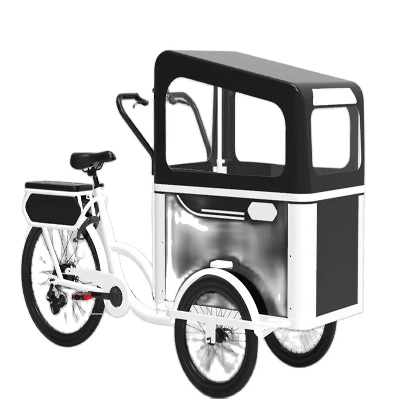 2021 New Designed Electric Or Pedal 3 Wheels Cargo Bike For Carrying Kids Or Pets For Sale