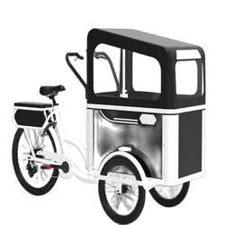 2021 New Designed Electric Or Pedal 3 Wheels Cargo Bike For Carrying Kids Or Pets For Sale