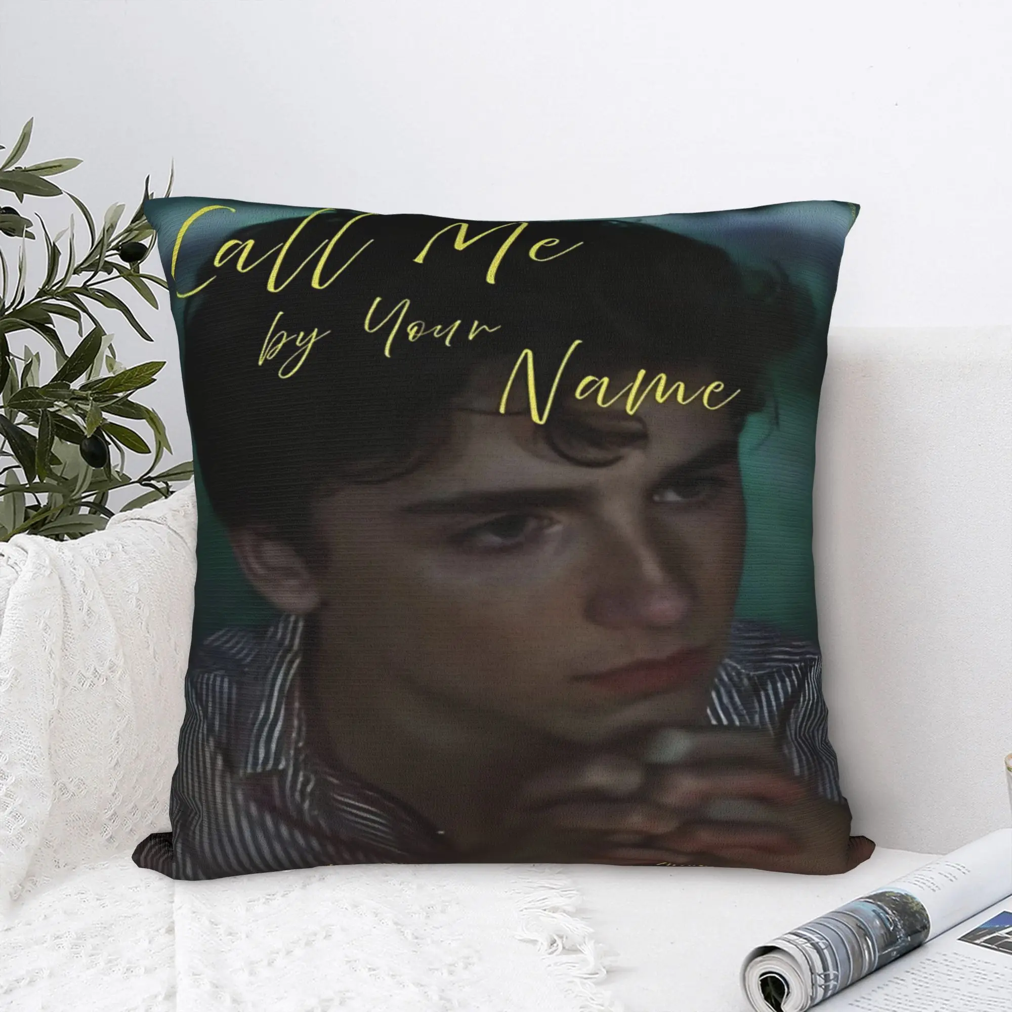 Car Decor Call Me by Your Name Pillowcases Stuff  Pillow Cover Zipper Multi Size