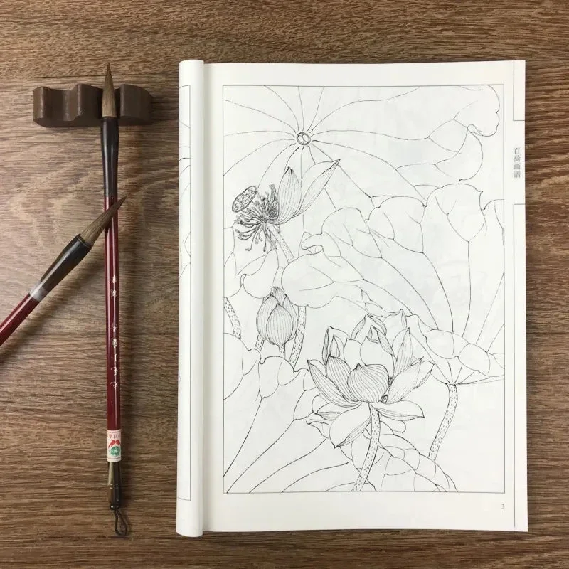 Chinese Painting Book Hundred Lotus Flowers Drawing Line Collection Art Book Relaxation and Anti-Stress Material