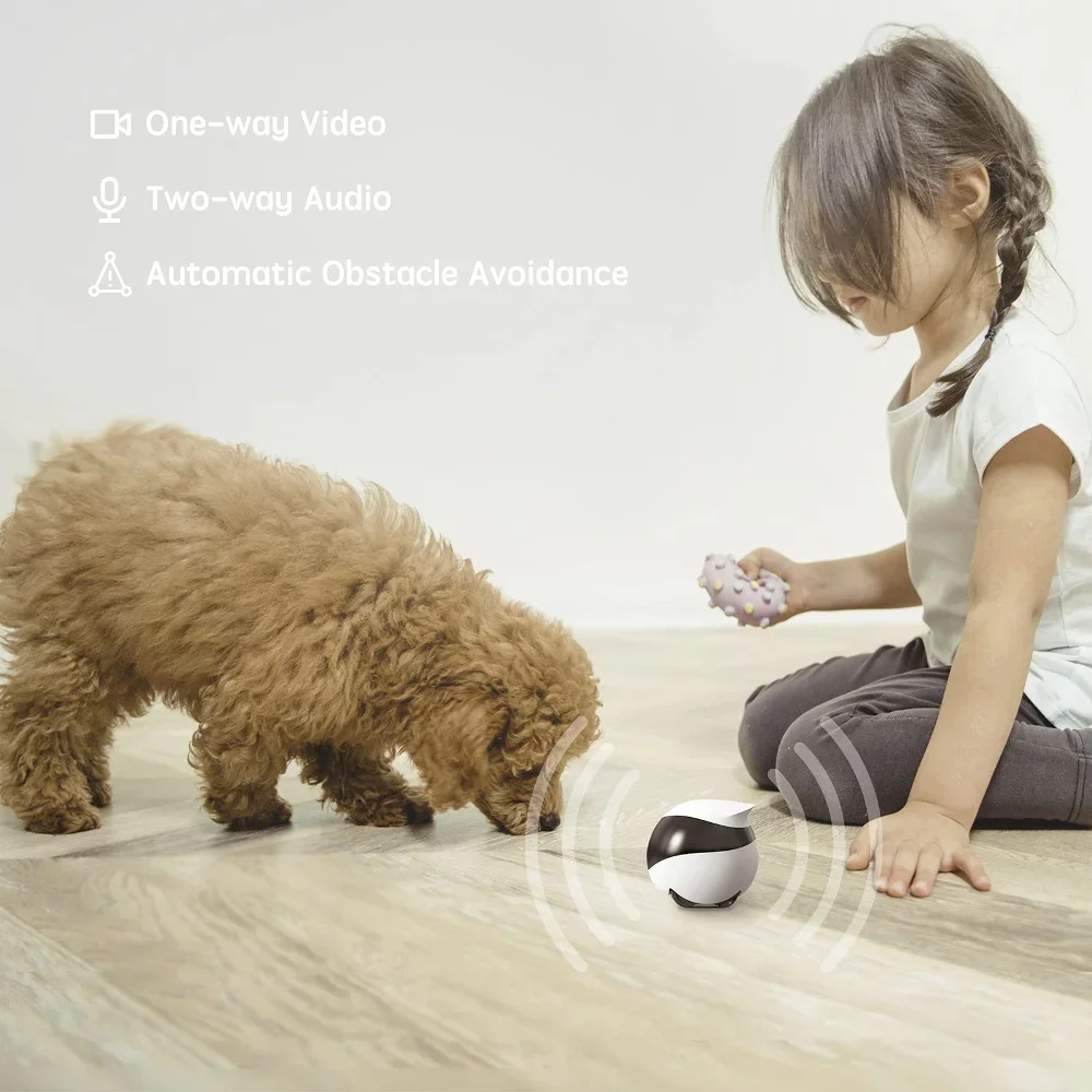 Enabot EBO SE กล้องหุ่นยนต์สํา - Home Security Robot Dog บทวิจารณ์และราคา